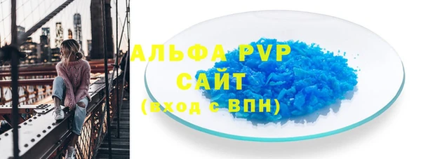 apvp Алзамай
