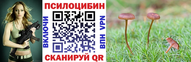 OMG ТОР  Артёмовский  Галлюциногенные грибы мицелий 
